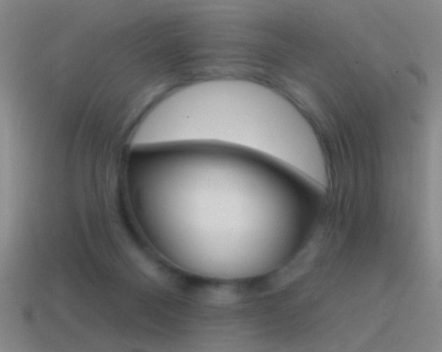 X0000114570120200910191041