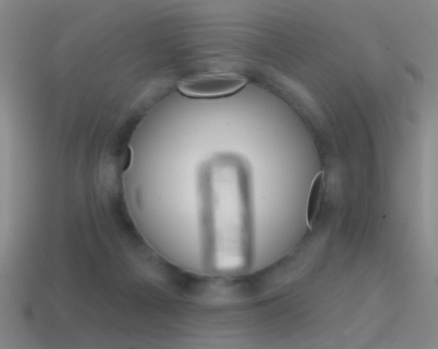 X0000114570121200910191041