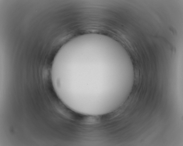 X0000114570126200910191041