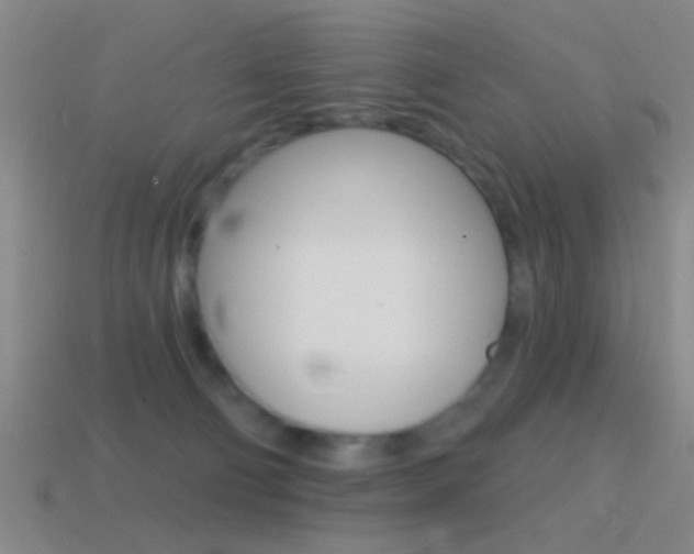 X0000114570130200910191041