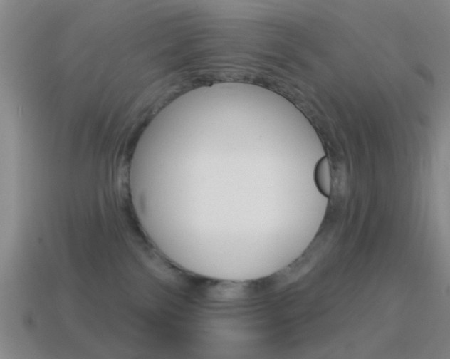 X0000114570138200910191041