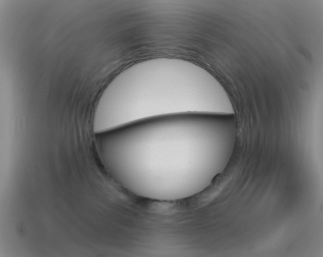 X0000114570139200910191041