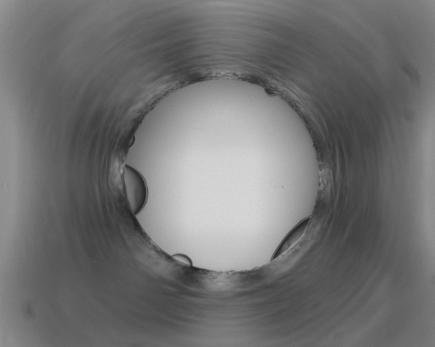 X0000114570142200910191041
