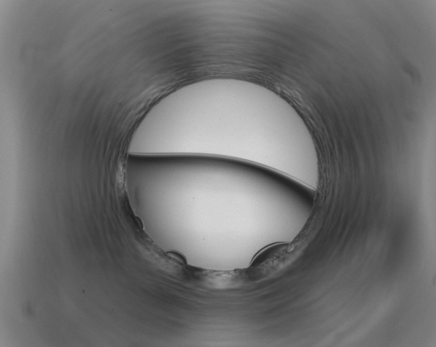 X0000114570143200910191041