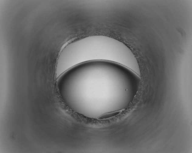 X0000114570144200910191041
