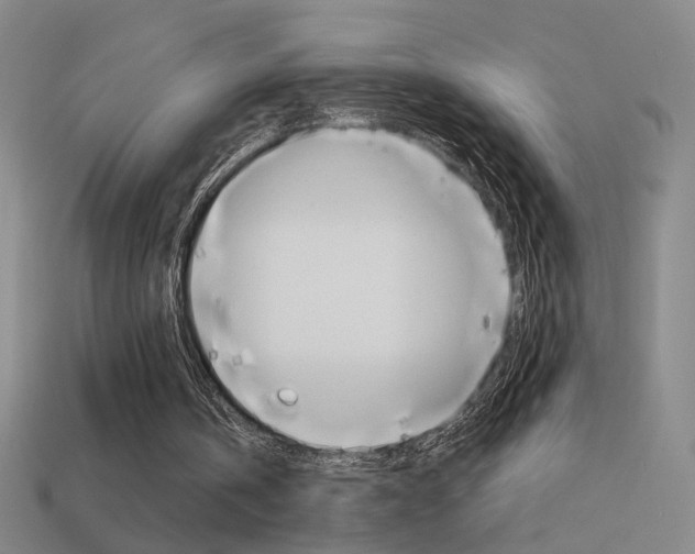 X0000114570146200910191040