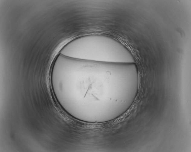 X0000114570147200910191040