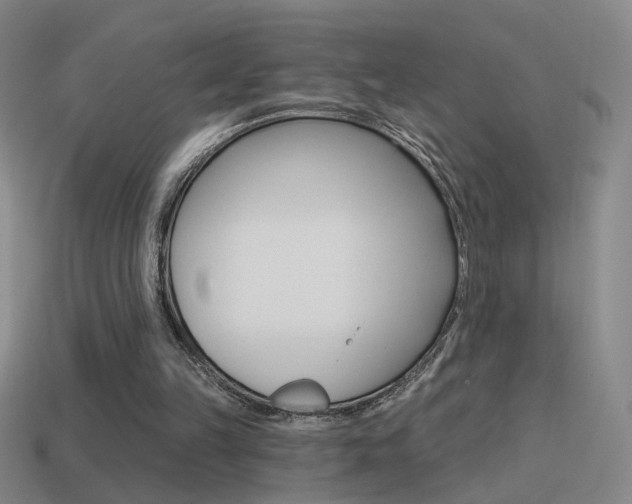 X0000114570149200910191040