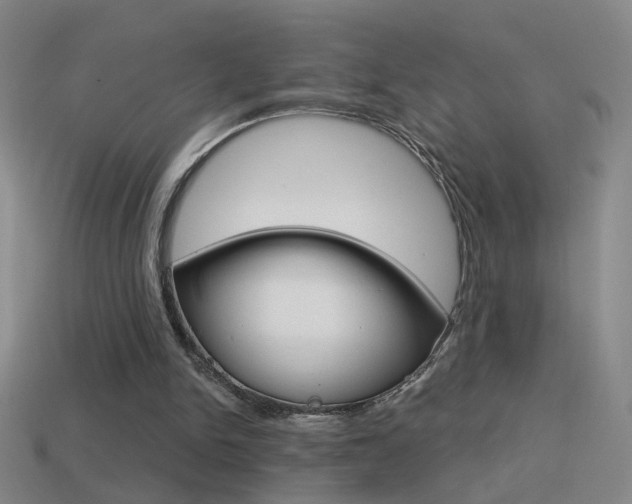 X0000114570150200910191040