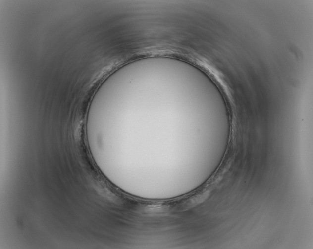 X0000114570153200910191040