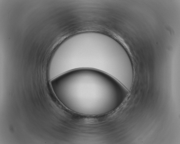 X0000114570154200910191040