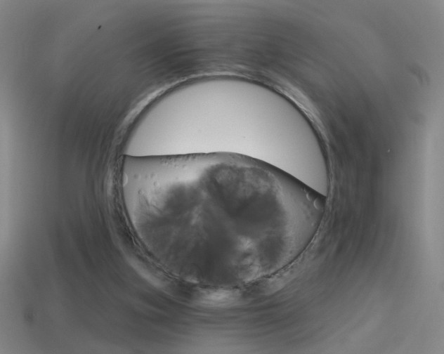 X0000114570155200910191040