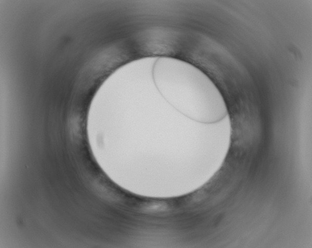 X0000114570162200910191041