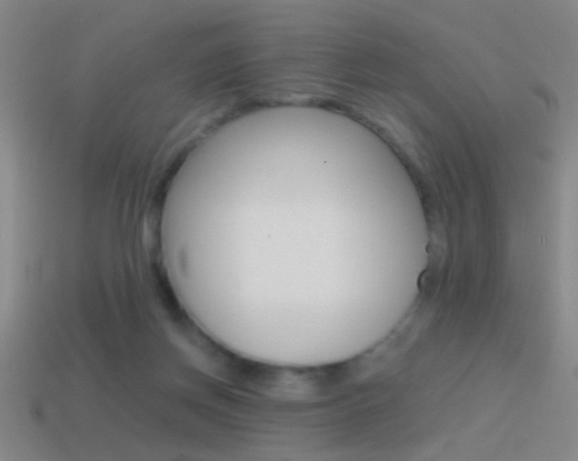 X0000114570166200910191041