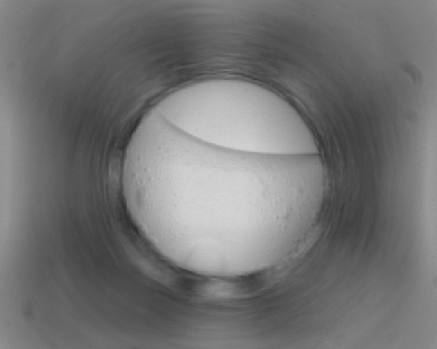 X0000114570171200910191041