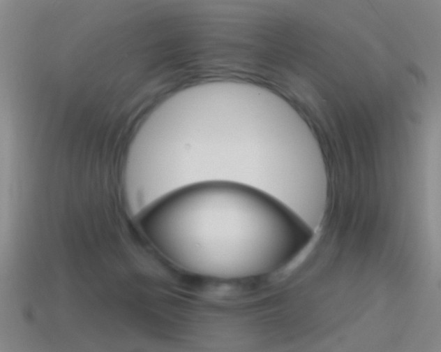 X0000114570174200910191041