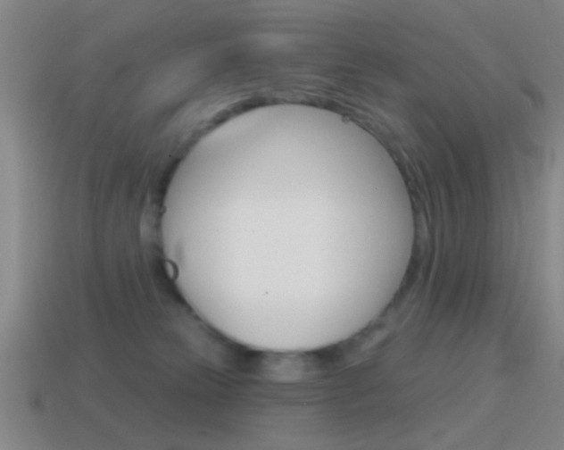 X0000114570181200910191041