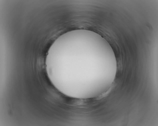 X0000114570182200910191041