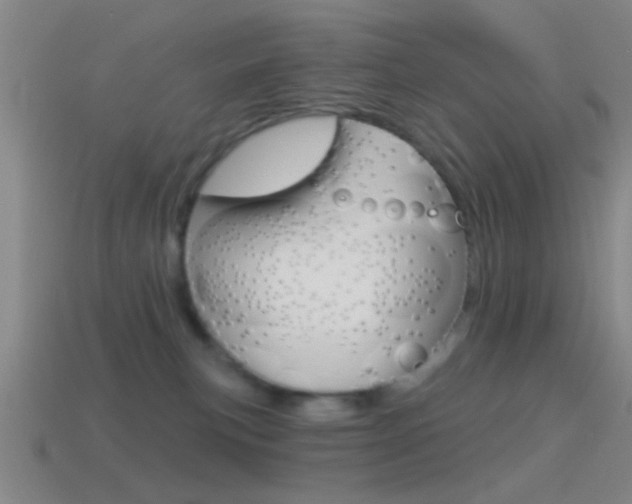 X0000114570183200910191041