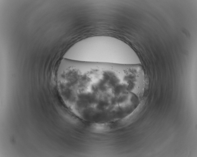 X0000114570187200910191041