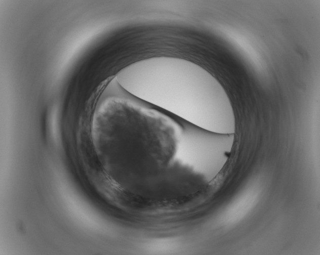 X0000114570189200910191041