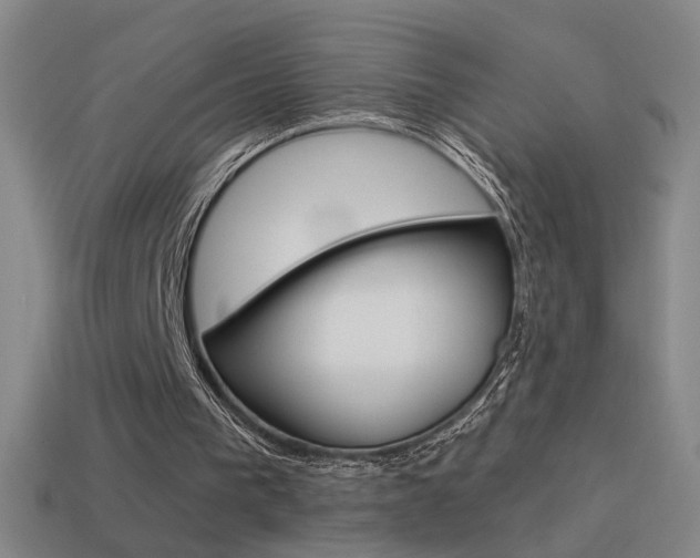 X0000114570193200910191040