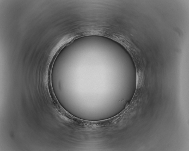 X0000114570195200910191040