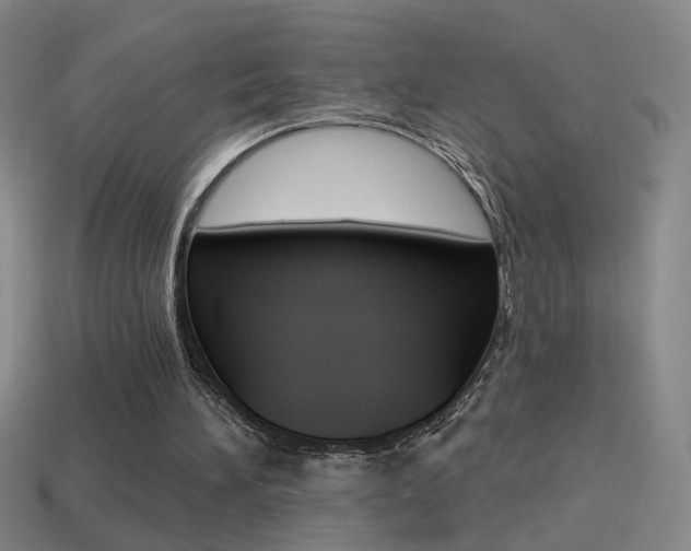 X0000114570196200910191040