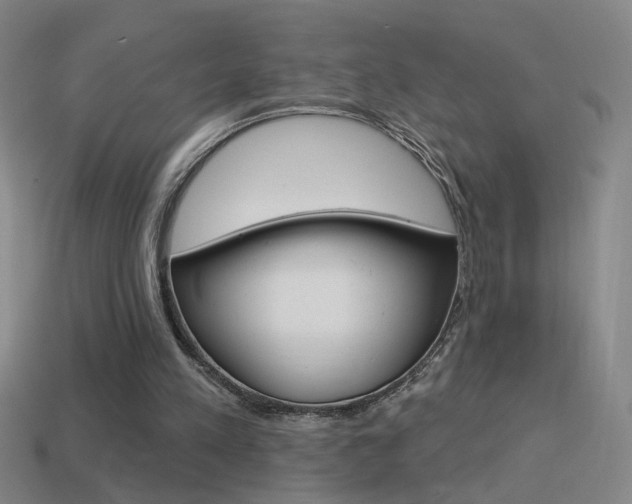 X0000114570197200910191040