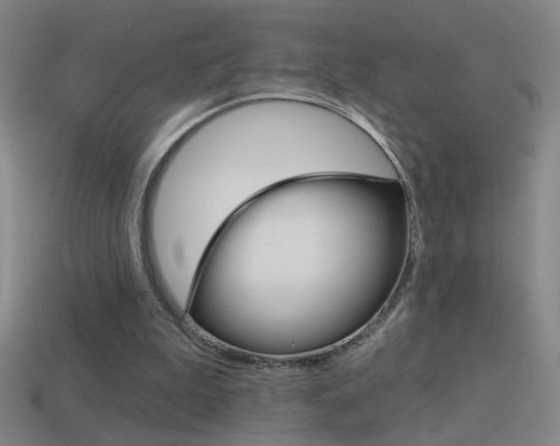X0000114570199200910191040