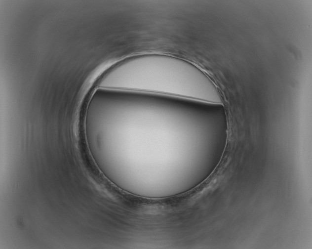 X0000114570200200910191040