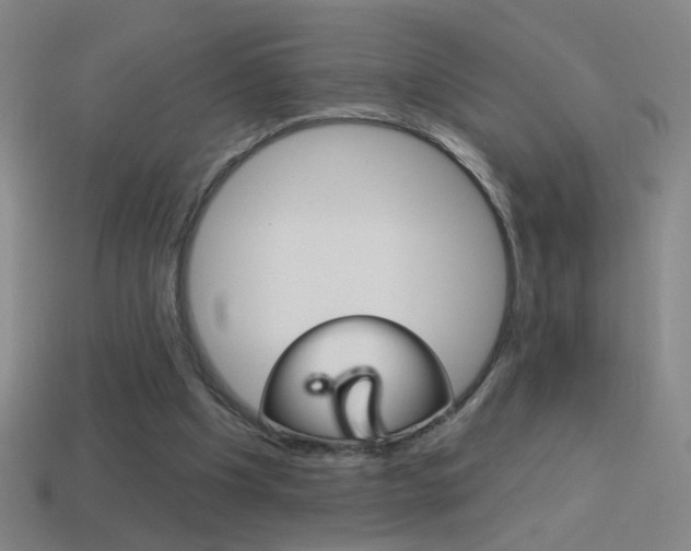 X0000114570201200910191040