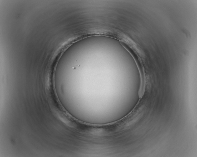 X0000114570203200910191040