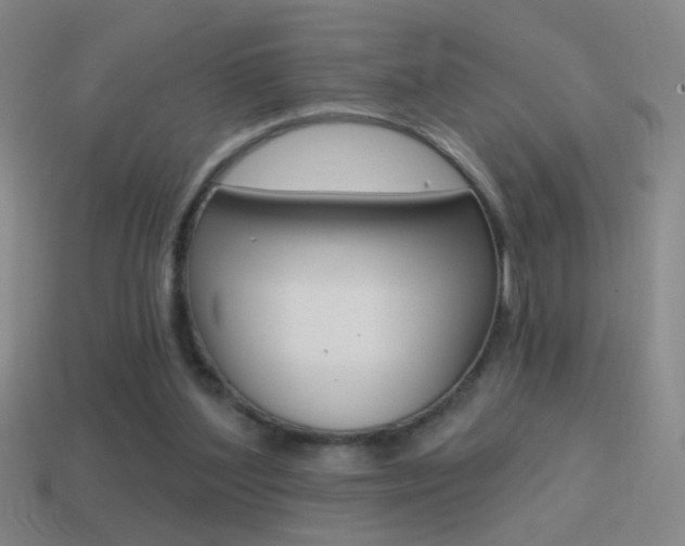 X0000114570204200910191040