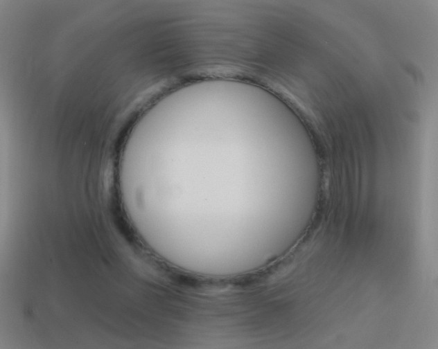 X0000114570206200910191040