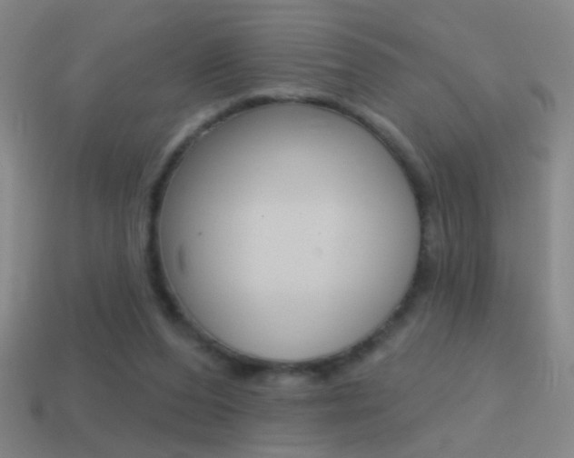 X0000114570208200910191040