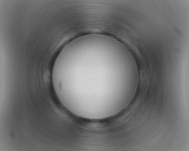 X0000114570212200910191040