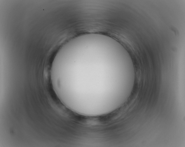 X0000114570214200910191040