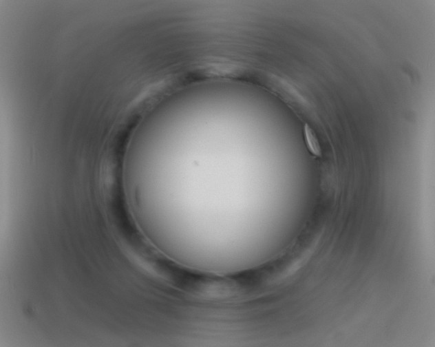 X0000114570215200910191040