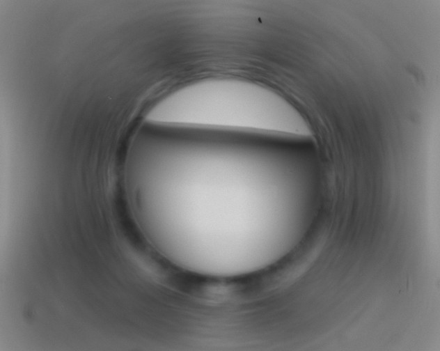 X0000114570216200910191040