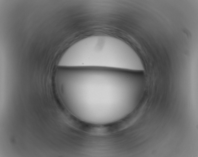 X0000114570217200910191040