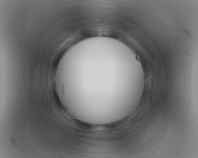 X0000114570218200910191040