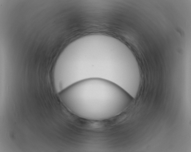 X0000114570221200910191040