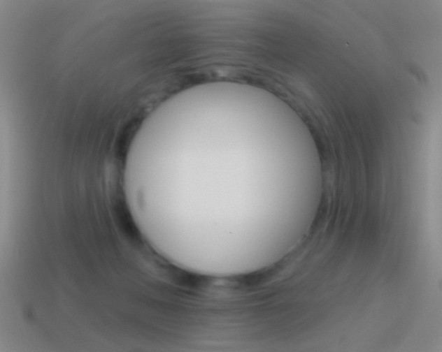 X0000114570222200910191040