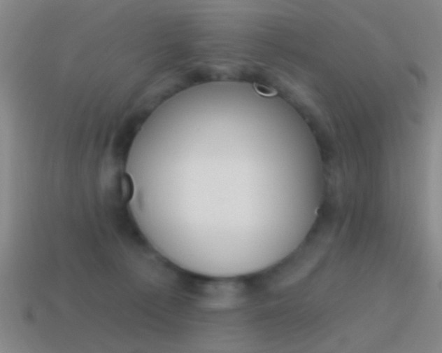 X0000114570225200910191040