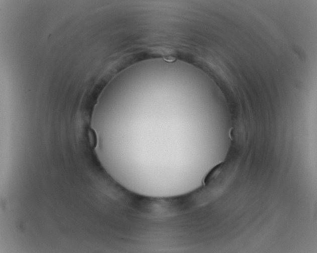 X0000114570229200910191040
