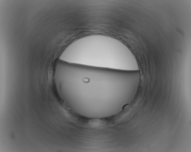 X0000114570231200910191040