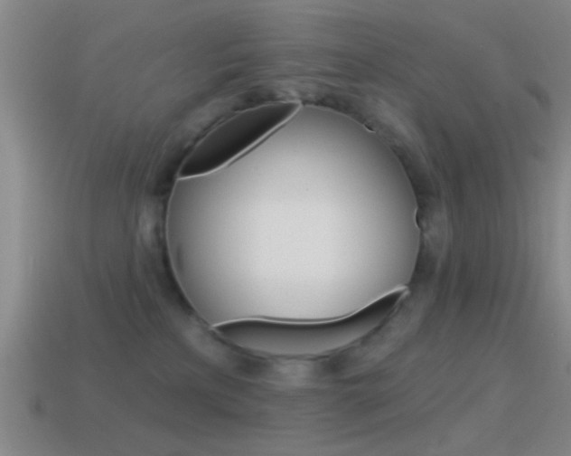 X0000114570233200910191040