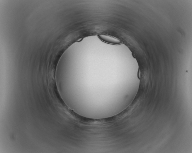 X0000114570236200910191040