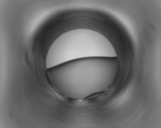 X0000114570239200910191040
